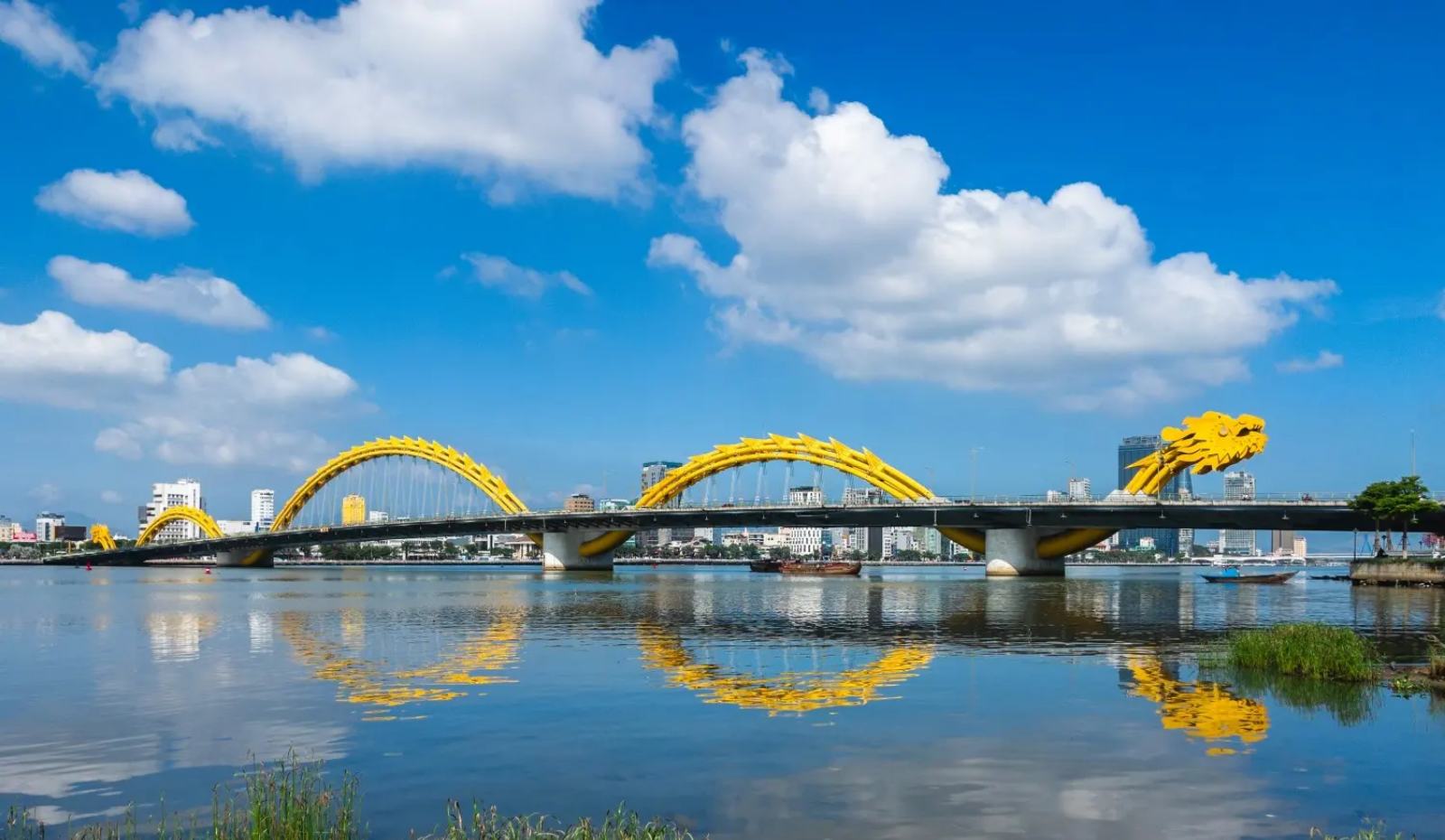 OVD_AEM Elements - 32