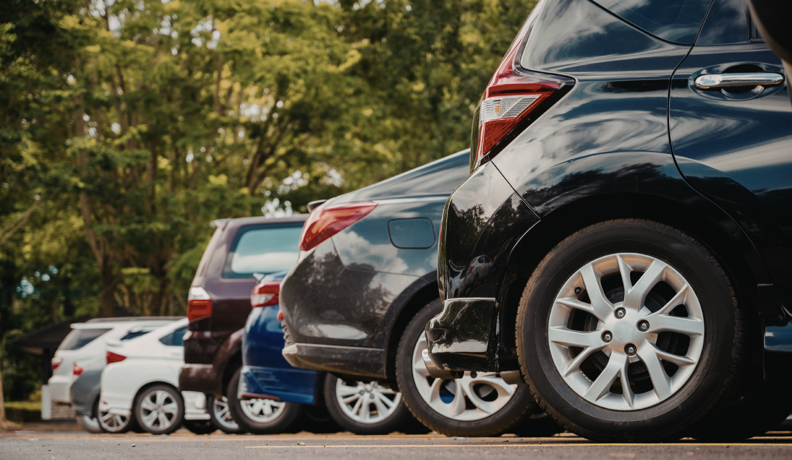 OVD_AEM Elements - 30